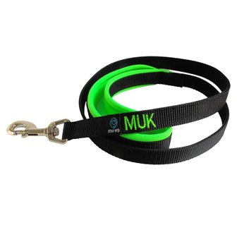 Neoprene handle dog leash with name