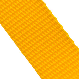 10m Tassenband / Parachuteband - Polypropyleen - 25mm - Geel
