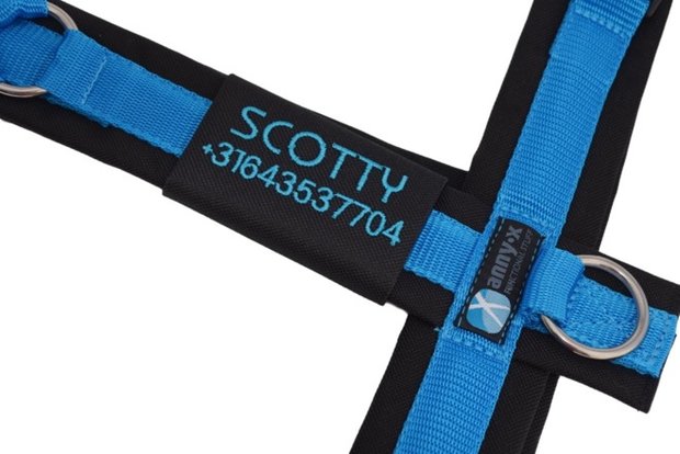 AnnyX Y-harness FUN Blue/Black