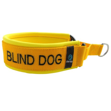 Neoprene Martingale dog collar with name - S/M | My K9