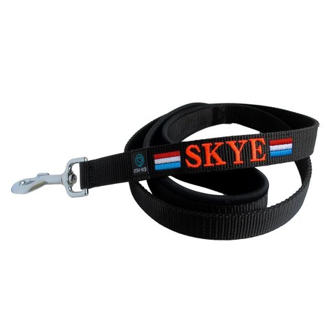 Neoprene handle dog leash with name