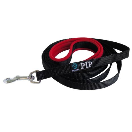 Neoprene handle dog leash with name