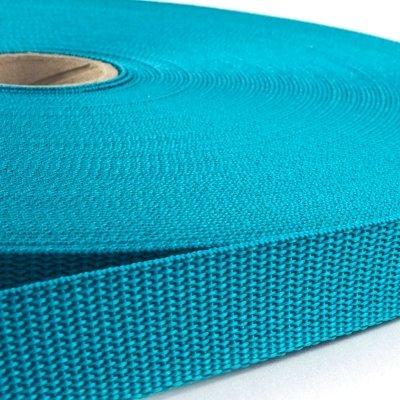 10m Tassenband / Parachuteband - Polypropyleen - 20mm - Turquoise