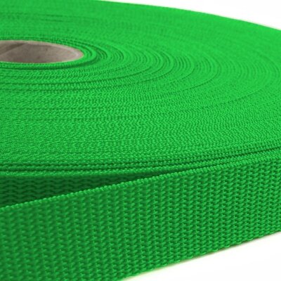 10m Tassenband / Parachuteband - Polypropyleen - 20mm - Groen