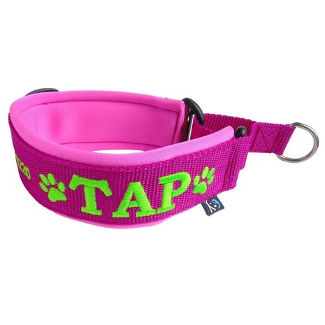 Martingale collar with name sales