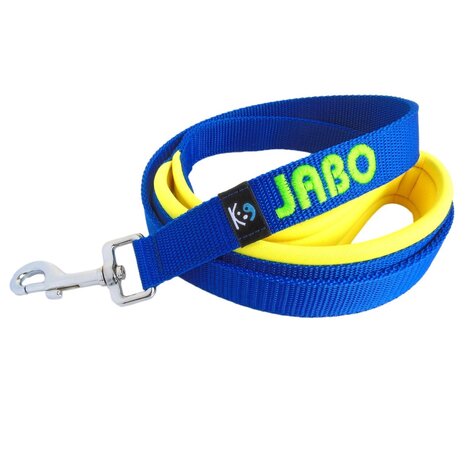 Neoprene handle dog leash with name