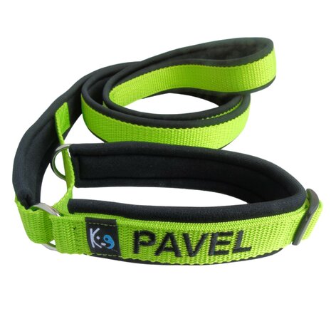 Agility dog collars hotsell