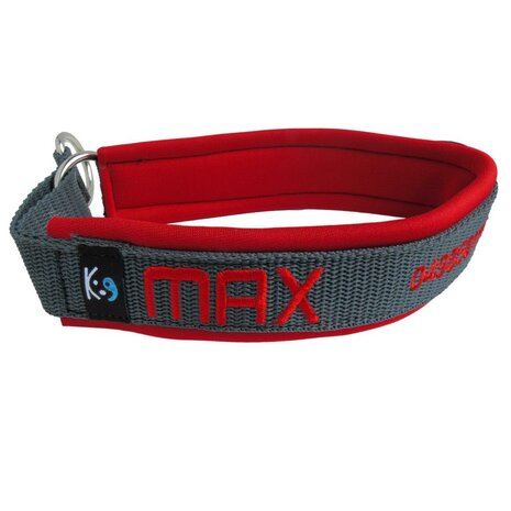 Neoprene Half-Check dog collar with name - S | My K9