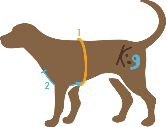 Welke maat AnnyX tuigje? Het juiste advies krijg je van K9