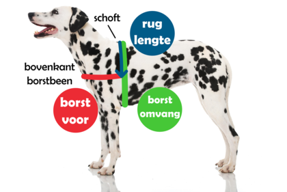 Post impressionisme Atticus zuurstof My K9 Meetinstructie voor hondentuigjes