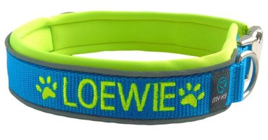 Loewie super blij met zijn nieuwe Halsband