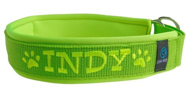 Indy is blij met haar nieuwe halfcheck Halsband