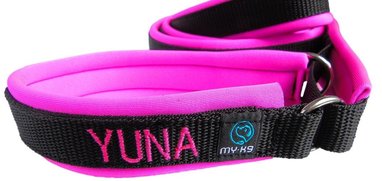 Een agility lijn met naam voor Yuna