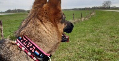 My K9 Klanten April 2022