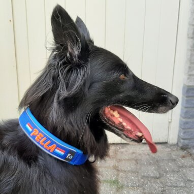 My K9 Klanten augustus 2022