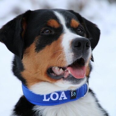 My K9 Klanten Januari 2023