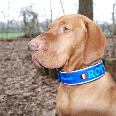 My K9 Klanten Februari 2023