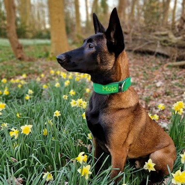 My K9 Customers March 2023