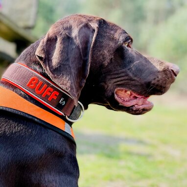 My K9 Klanten April 2023
