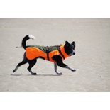 Waterdichte Jas + tuigje AnnyX Atlantis PROTECT maat XL/80