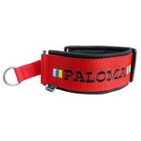 Neopreen Martingale Halsband met Naam - XS/S | My K9