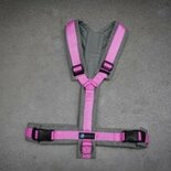 AnnyX Y-harness FUN Pink/Grey - Limited Edition