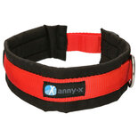 AnnyX dog collar FUN Red/Black