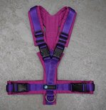 *Limited Edition* AnnyX hondentuigje OPEN - FUN Paars/Fuchsia maat XXS