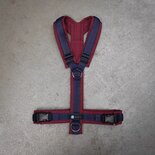 AnnyX hondentuigje FUN Donkerblauw/Bordeaux - Limited Edition