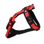 AnnyX hondentuigje FUN Rood/Zwart AnnyX hondentuigje FUN Rood/Zwart