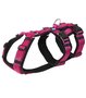 AnnyX SAFETY anti-ontsnappingstuigje Fuchsia/Zwart