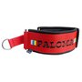 Neoprene Martingale dog collar with name - S/M | My K9