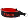 Neoprene Martingale dog collar with name - S/M | My K9