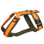 AnnyX Y-harness FUN Orange/Olive