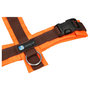 AnnyX Y-harness PROTECT Brown/Neon orange