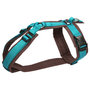 AnnyX Y-harness FUN Turquoise/Brown