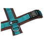 *NEW* AnnyX Y-harness FUN Turquoise/Brown