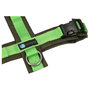 *NEW* AnnyX Y-harness FUN Green/Olive green