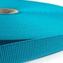 10m Tassenband / Parachuteband - Polypropyleen - 40mm - Turquoise