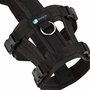 AnnyX SAFETY no-escape harness Black/Black