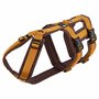 *NEW* AnnyX SAFETY escape proof harness Cinnamon/Brown