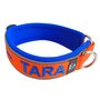 Neoprene Buckleless dog collar with name - S | My K9