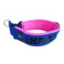 Neoprene Martingale dog collar with name - S/M | My K9