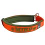 Neoprene Half-Check dog collar with name - XL | My K9