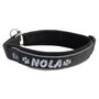 Neoprene Half-Check dog collar with name - M | My K9