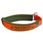 Neoprene Half-Check dog collar with name - M | My K9
