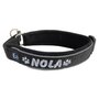 Neoprene Half-Check dog collar with name - S | My K9