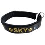 Neoprene Half-Check dog collar with name - S | My K9
