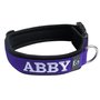 Neoprene dog collar with name - M | My K9