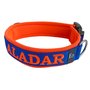 Neoprene dog collar with name - L | My K9